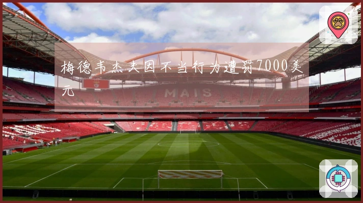 梅德韦杰夫因不当行为遭罚7000美元